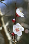 090221umes.jpg