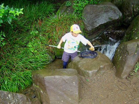 わき水s.jpg
