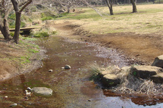 わき水広場1.jpg