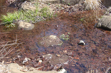 わき水広場2.jpg