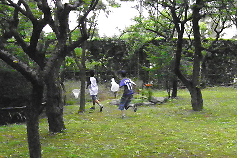 網もって走る6050006s.jpg