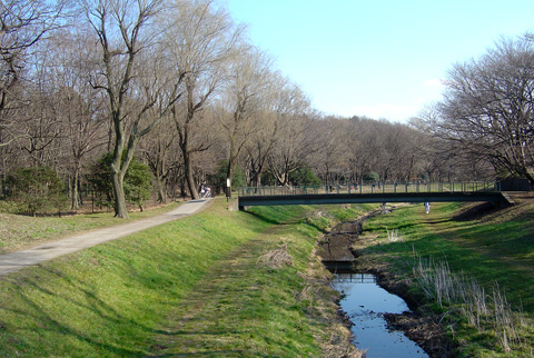野川もみじ橋.jpg