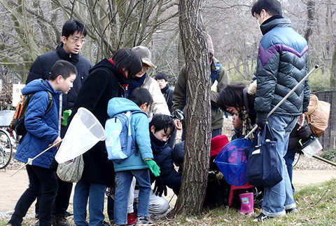 コムラサキ幼虫だ.jpg