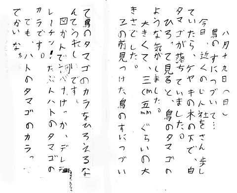 タマゴの殻発見.jpg