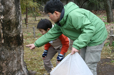 テントウムシ見つけ8566s.jpg
