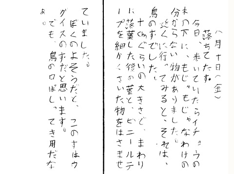 メジロ日記@s.jpg