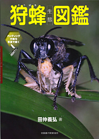 狩蜂生態図鑑表紙.jpg