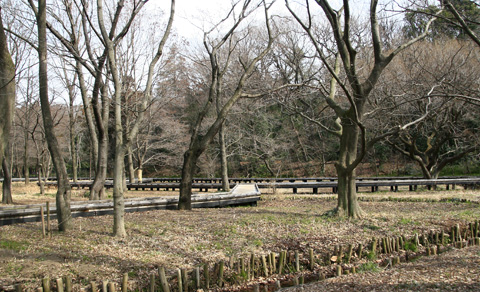 自然観察園3999.jpg