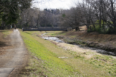 野川公園入り口なら橋からcs3973.jpg