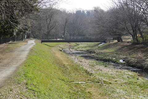 野川遠景2260012s.jpg