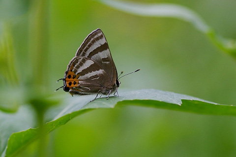 d9bc6059.jpg